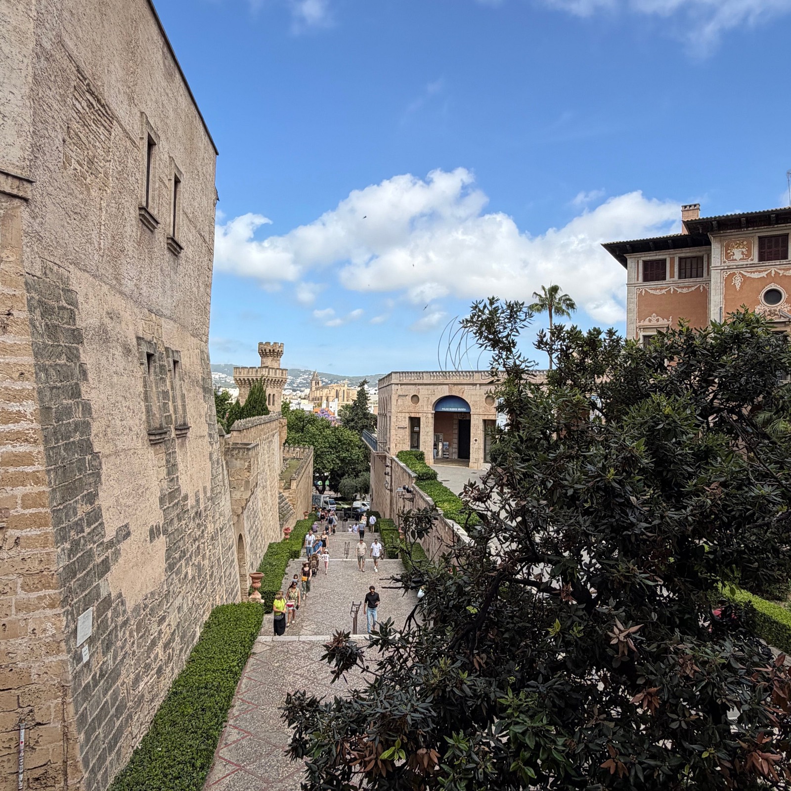 A terrace looking over the rooftops of Palma's old town with the cathedral nearby