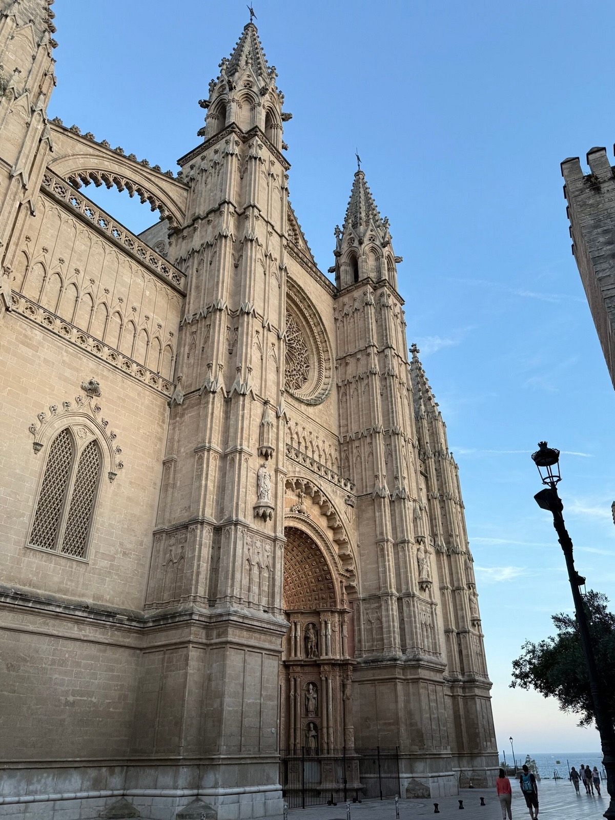 The Gothic west front of Palma cathedral, La Seu, rising over the old town in the late sun